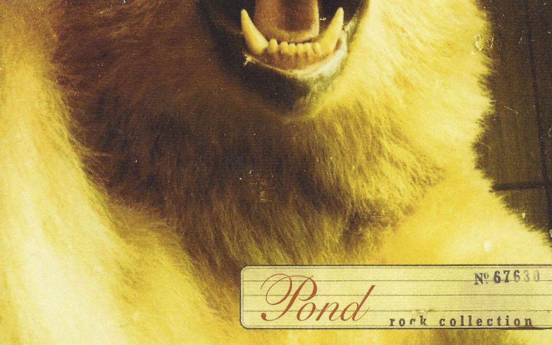 pond record cover